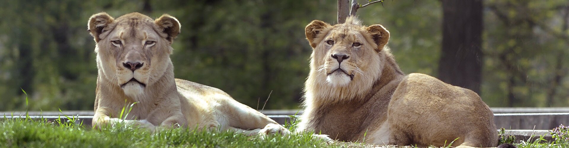 Zoologisk Have i København